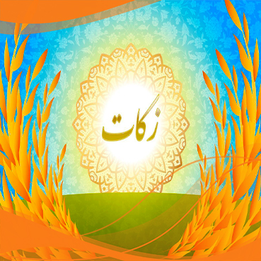 session image